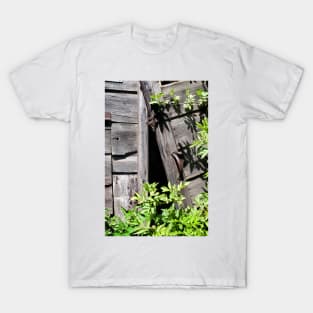 Old abandoned  shed doors being taken over by nature - Yorkshire, UK T-Shirt